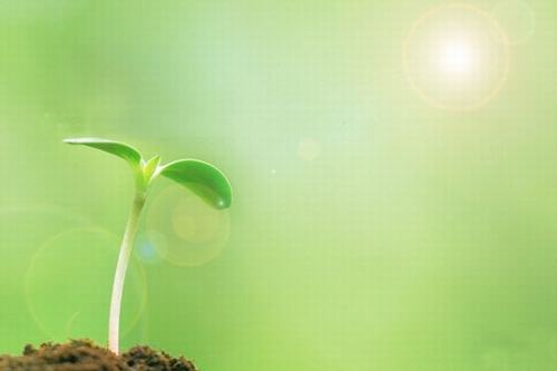 歲生之初，且聽我說