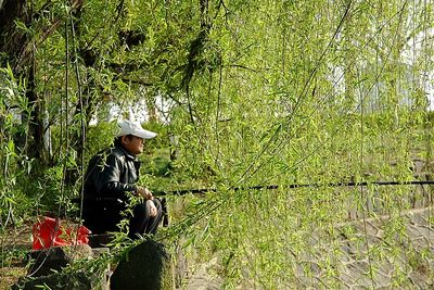 春天，一個多么富有詩意的名字??！