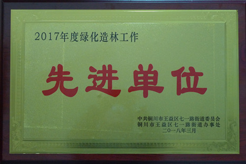 機(jī)電安裝公司榮獲銅川市七一地區(qū)綠化造林先進(jìn)單位榮譽稱號