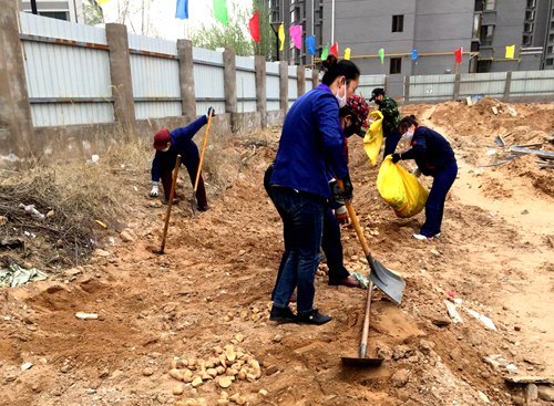 大秦置業(yè)秦和物業(yè)公司點(diǎn)種果蔬“一箭三雕”