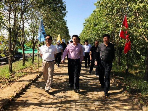 陜西省總工會黨組書記、主席白阿瑩一行蒞臨鄠邑區(qū)調(diào)研考察草堂寺健康養(yǎng)老示范項目