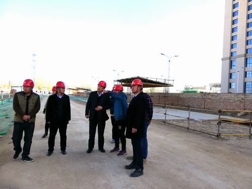 劉合理深入靖邊金地華府項目檢查指導工作