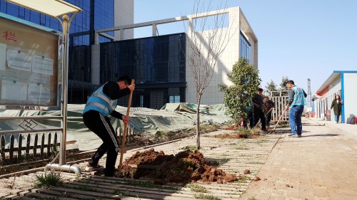 陜煤建設(shè)澄合分公司基層單位開展“植樹護(hù)綠，美麗家園”義務(wù)植樹活動