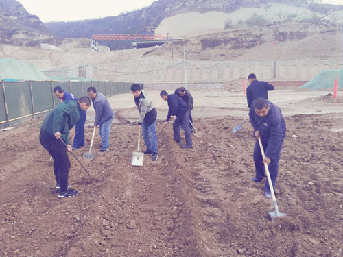 陜煤建設(shè)天工公司土建三部不負時光“務(wù)農(nóng)”  豐富員工餐桌