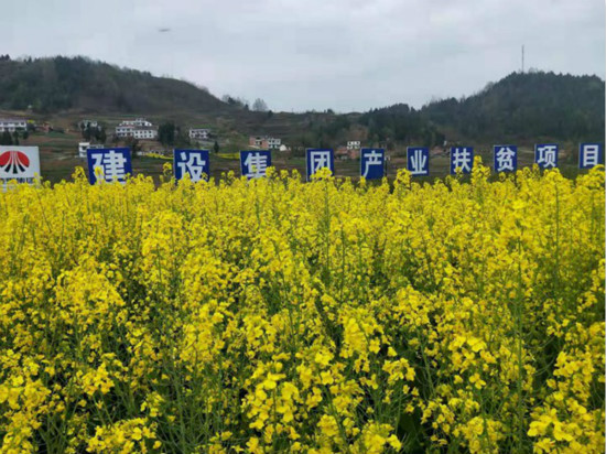 公司領(lǐng)導(dǎo)寧興剛、侯本英到扶貧定點(diǎn)幫扶村看望慰問(wèn)困難群眾