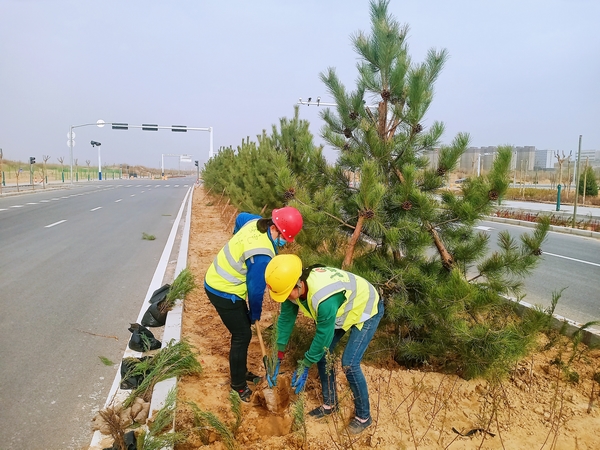 陜煤建設(shè)承建的科創(chuàng)新城市政一期工程N1項目經(jīng)理部全面啟動綠化作業(yè)
