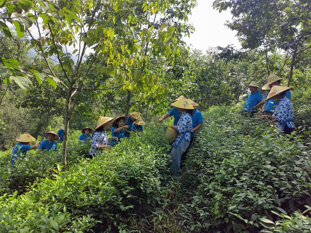 陜煤建設(shè)煤礦運營服務(wù)分公司：赴天池村開展主題黨日活動