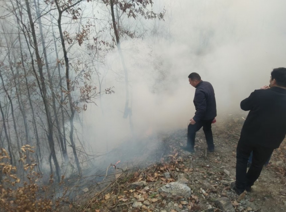 陜煤建設(shè)駐村工作隊(duì)：勇?lián)渖交鸨Ｆ桨?踐行擔(dān)當(dāng)群眾贊