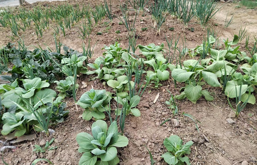 陜煤建設(shè)澄合分公司:情系職工辦實(shí)事 點(diǎn)滴關(guān)懷暖人心