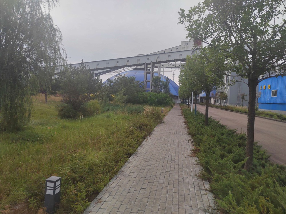 陜煤建設(shè)洗選煤運營公司紅柳林洗煤廠項目部：秋韻里的安全堅守與生產(chǎn)奮進