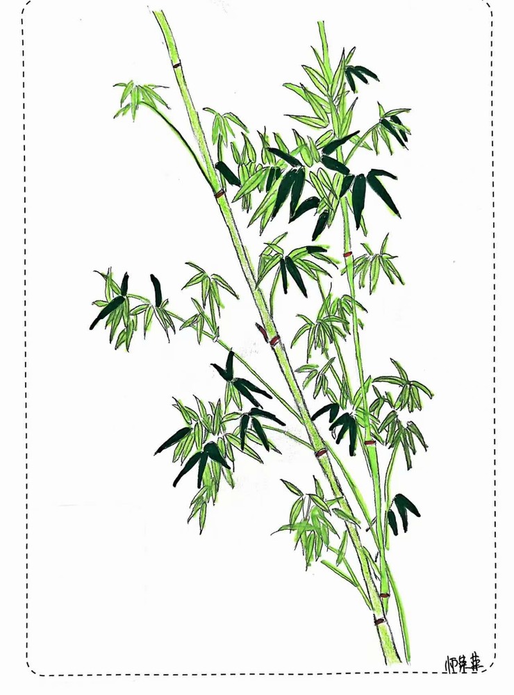 漫說廉潔！這組“草木廉盟”太可了